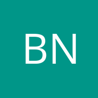 Balint Nyika